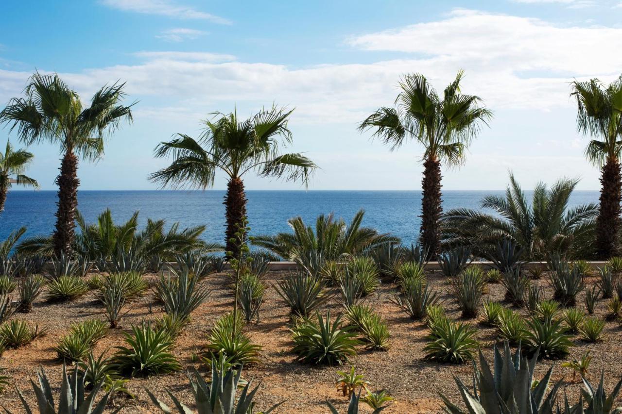 Casa Maat At Jw Marriott Los Cabos Beach Resort & Spa San José del Cabo Zewnętrze zdjęcie
